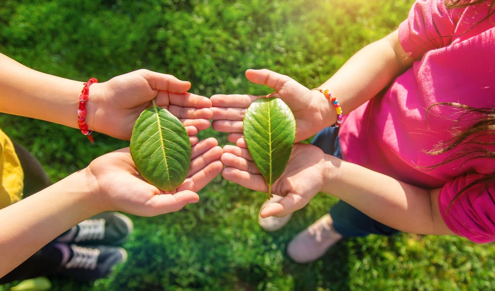 mains d'enfants tenant feuilles