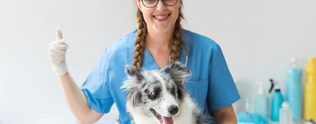 vétérinaire avec le pouce en l'air avec un chien