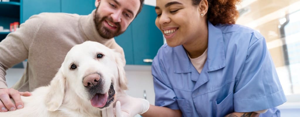 vétérinaire avec patient et son chien