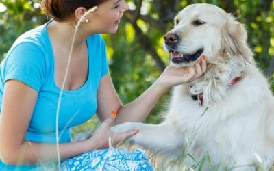 Formation éducateur canin comportementaliste