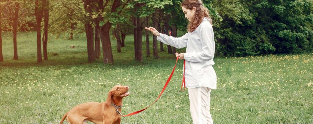 femme qui joue avec son chien