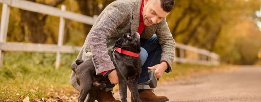 chien avec son maitre