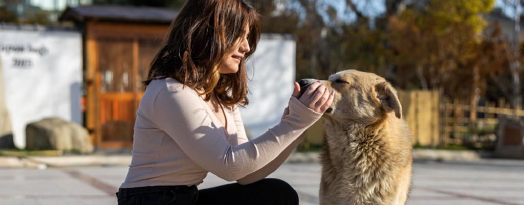 femme qui caresse son chien