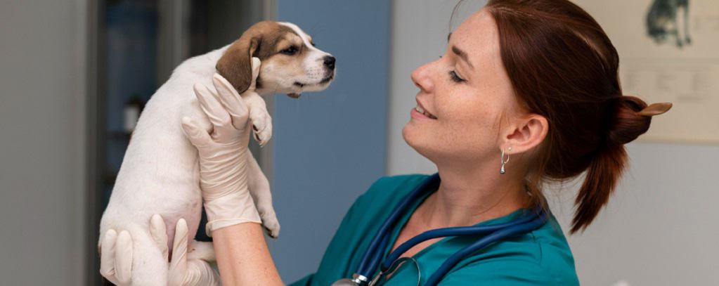 une vétérinaire regardant un chien