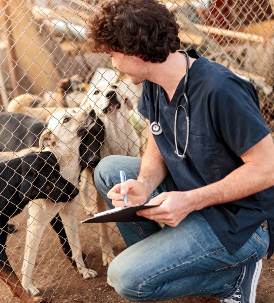 un homme regardant des chiens et notant sur son cahier