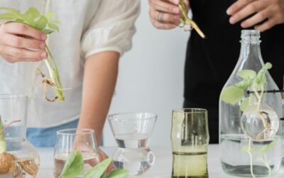 Les métiers de la cosmétique et de la parfumerie