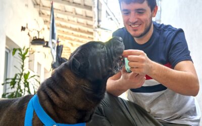 Quel est le salaire d’un éducateur canin ?