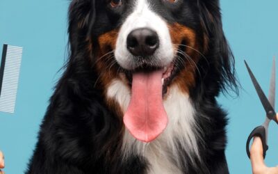 Lettre de motivation toiletteur canin : modèle efficace pour décrocher le poste