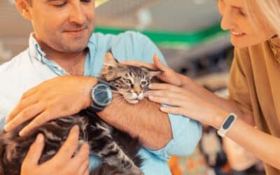 Comment devenir conseiller en animalerie : parcours, formation et premier emploi